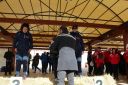 IMG_0888.jpg